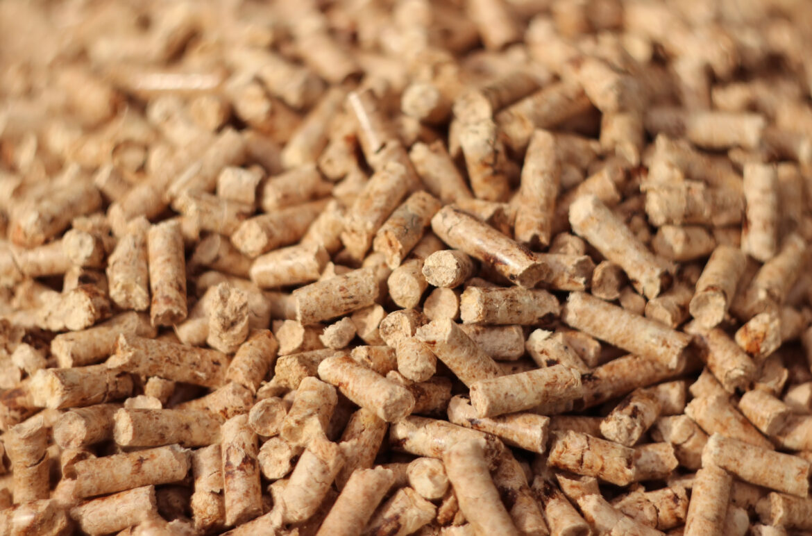 Granules de bois